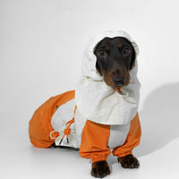 HKM-2067005 Pet Winter Sports Raincoat - Casual Color Matching Clothing for Pets