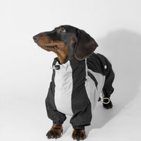 HKM-2067005 Pet Winter Sports Raincoat - Casual Color Matching Clothing for Pets