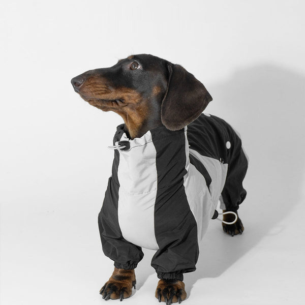HKM-2067005 Pet Winter Sports Raincoat - Casual Color Matching Clothing for Pets