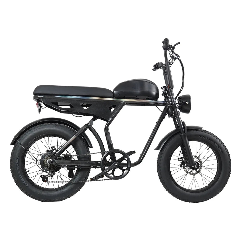 HKM-206931 20-Inch Aluminum Alloy E-FAT Mountain Bike with 750W Motor and Integrated Lithium Battery