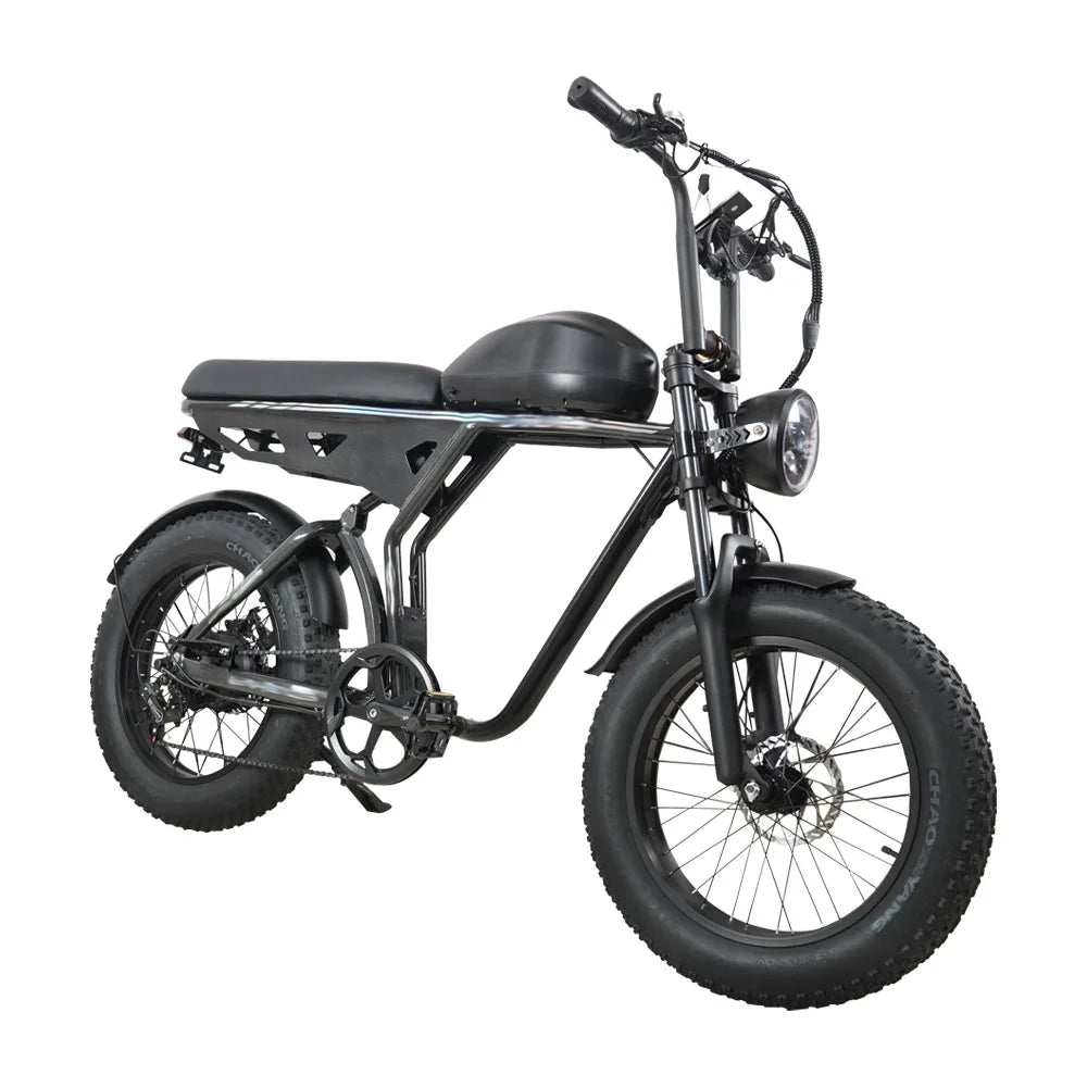 HKM-206931 20-Inch Aluminum Alloy E-FAT Mountain Bike with 750W Motor and Integrated Lithium Battery