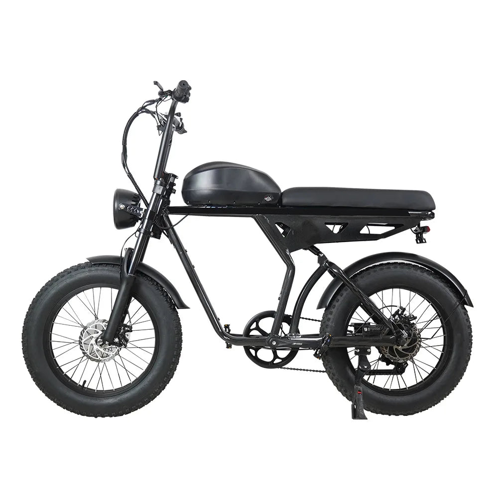 HKM-206931 20-Inch Aluminum Alloy E-FAT Mountain Bike with 750W Motor and Integrated Lithium Battery