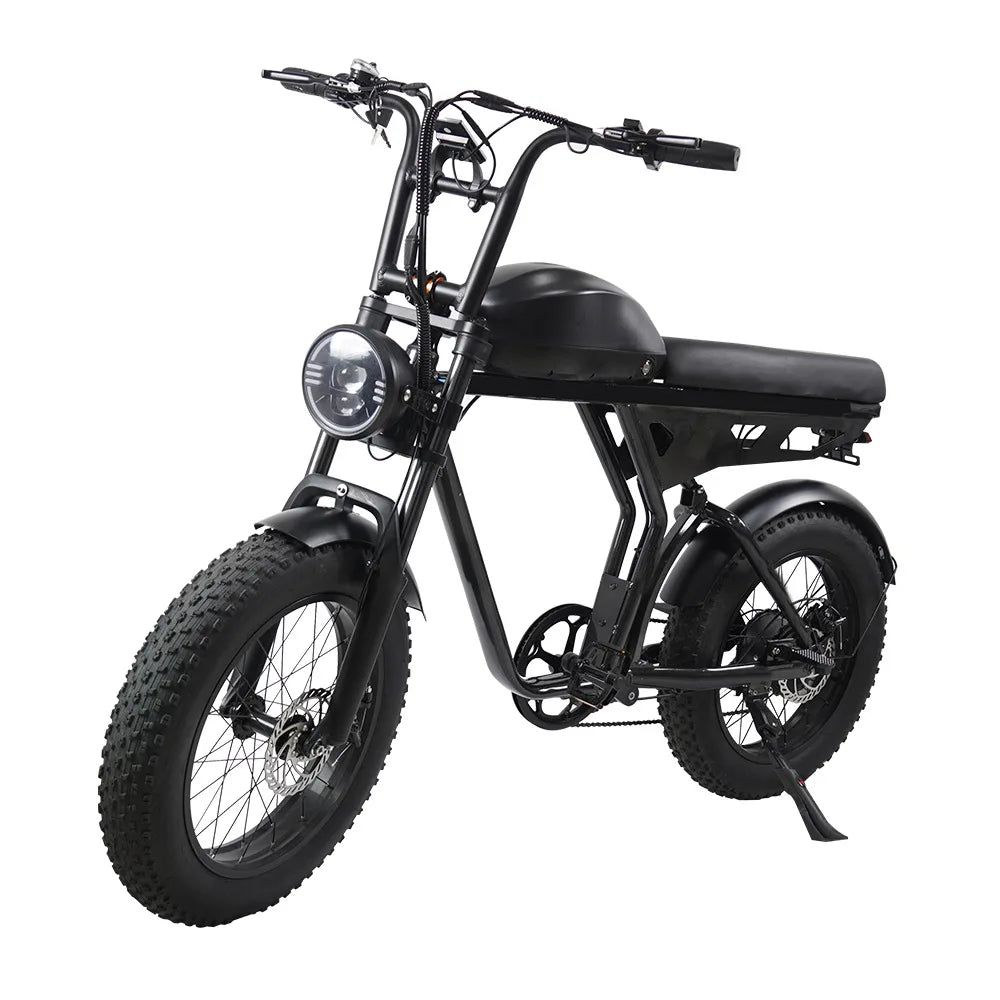 HKM-206931 20-Inch Aluminum Alloy E-FAT Mountain Bike with 750W Motor and Integrated Lithium Battery