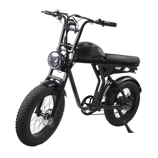 HKM-206931 20-Inch Aluminum Alloy E-FAT Mountain Bike with 750W Motor and Integrated Lithium Battery