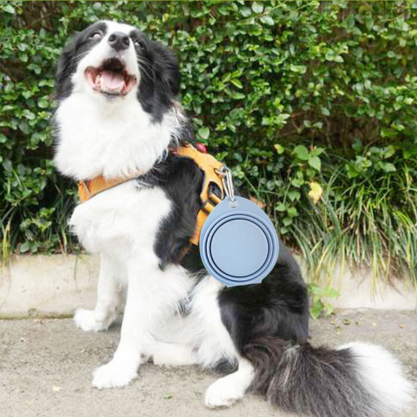 HKM-2071357 Pet Silicone Foldable Bowl for Easy Outdoor Feeding - 350ml Capacity in Multiple Colors