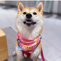 HKM-2072765 Reversible Shiba Inu Triangular Scarf for Small Dogs - Pink/Blue & Dark Blue/Pink Options