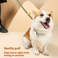 HKM-2074941 Durable Nylon Dog Walking Training Rope - Various Colors & Lengths Available