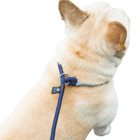 HKM-2074941 Durable Nylon Dog Walking Training Rope - Various Colors & Lengths Available