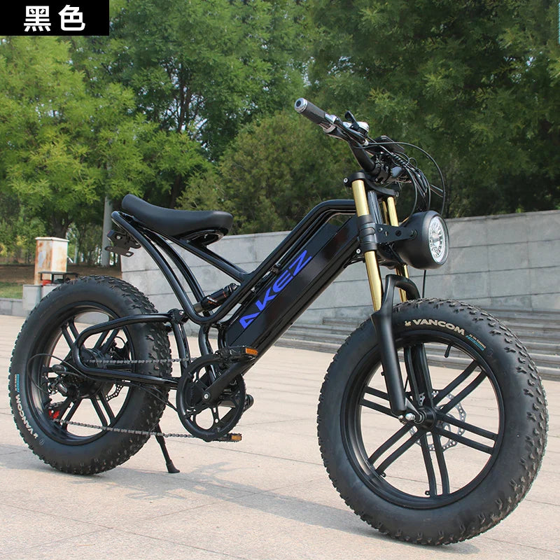 HKM-209235 Akez 20" 48V 750W Fat Tire Electric Snow Bike with Pedal Assist and Hydraulic Disc Brakes