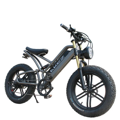HKM-209235 Akez 20" 48V 750W Fat Tire Electric Snow Bike with Pedal Assist and Hydraulic Disc Brakes