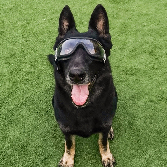 HKM-2094013 Large Dog Sunglasses - UV Protection, Waterproof, and Eye Safety with Adjustable Nylon Strap