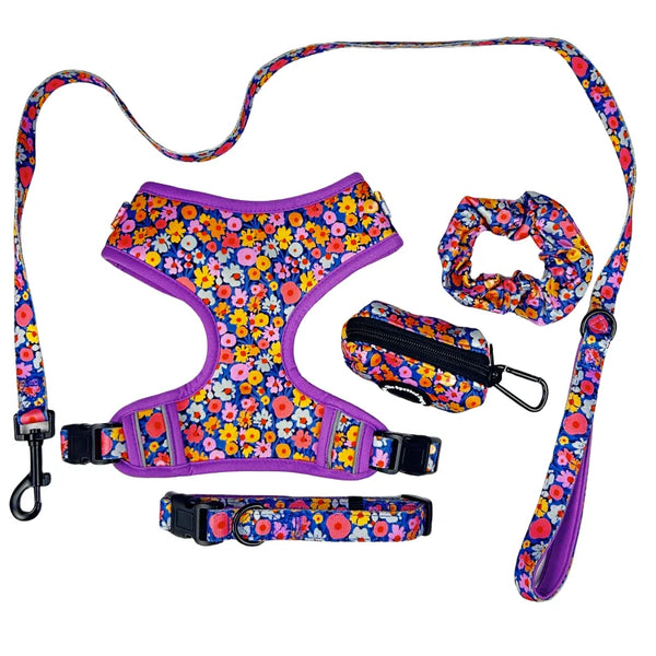 HKM-209427 Neoprene Customisable Cat and Dog Harness Set