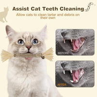 HKM-2099645 Silvervine Cat Chew Sticks for Dental Care - Natural and Edible Chew Toys for Indoor Cats