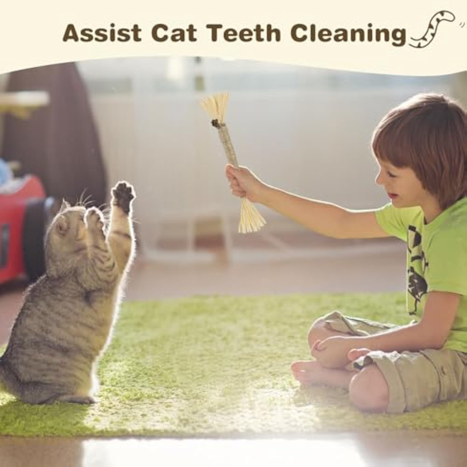 HKM-2099645 Silvervine Cat Chew Sticks for Dental Care - Natural and Edible Chew Toys for Indoor Cats