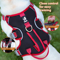 HKM-2101437 Adjustable Oxford Cloth Pet Harness for Medium and Small Dogs in Various Colors