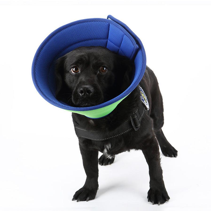 HKM-210451 Transparent Recovery Collar for Dogs and Cats ¨C Medical Anti-Bite Elizabethan Collar, Various Sizes and Colors Available