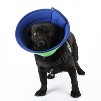HKM-210451 Transparent Recovery Collar for Dogs and Cats ¨C Medical Anti-Bite Elizabethan Collar, Various Sizes and Colors Available