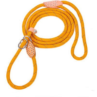 HKM-2107709 Reflective Nylon Leash for Hyenas - Durable and Safe Design