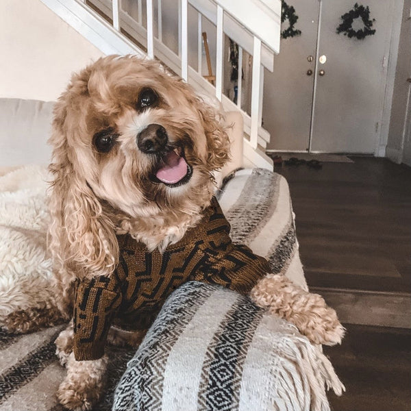 HKM-2111677 Casual Brown Sweater for Medium and Large Puppies in Wool