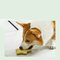 HKM-2114493 Durable Loofah Chew Toy for Puppies – Star and Bone Shape Teething Aid