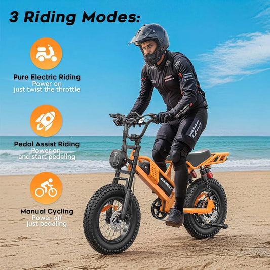 HKM-211539 20 Inch 750W Electric Fat Tire Bike with Hydraulic Disc Brakes and 7-Speed Gears