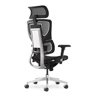 HKM-211667 Ergonomic Executive Office Chair with Mesh Design, 3D Headrest, Swivel and Reclining Features