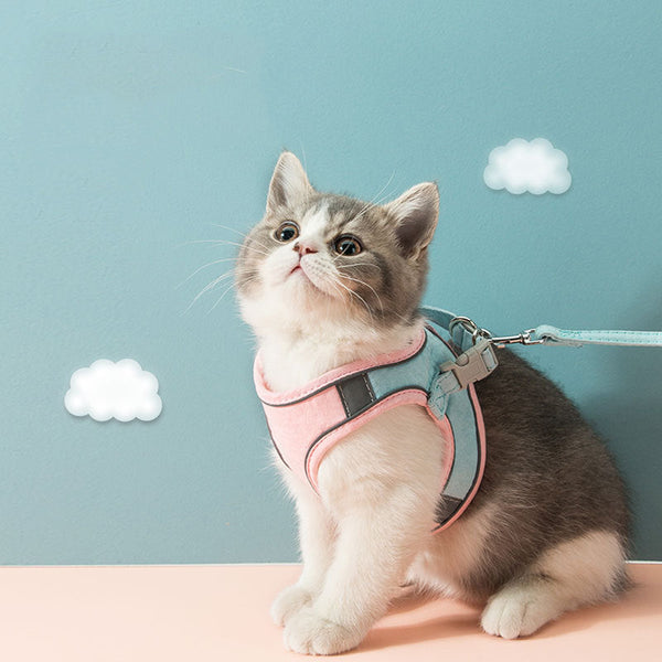 HKM-2118717 Reflective Chest Strap Cat Traction Rope Vest with Velcro Buckle for Secure Outdoor Adventures