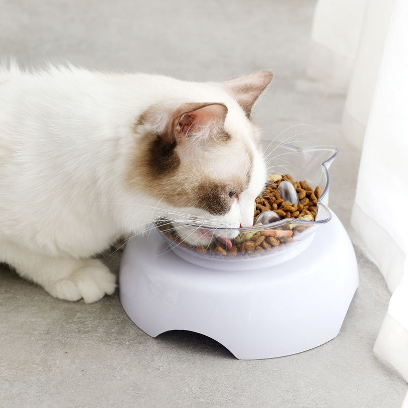 HKM-2119613 Transparent Plastic Cat Bowl with Oblique Mouth Design for Cervical Spine Protection