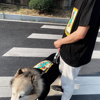 HKM-2121789 Cute Parent-Child Anti-Fluff Pet Clothes with Skateboard Dinosaur Print in Stylish Cotton