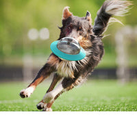 HKM-2126013 Pet Food Educational Toy with Leak-Feeding Function - Perfect for Dogs and Cats, Lake Blue and Yellow
