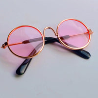 HKM-2126781 Pet Photo Glasses - Stylish Plastic Accessory for Captivating Pet Portraits