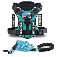 HKM-2132541 Durable Nylon Dog Leash with Chest Strap in Multiple Colors