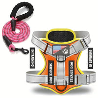 HKM-2132541 Durable Nylon Dog Leash with Chest Strap in Multiple Colors