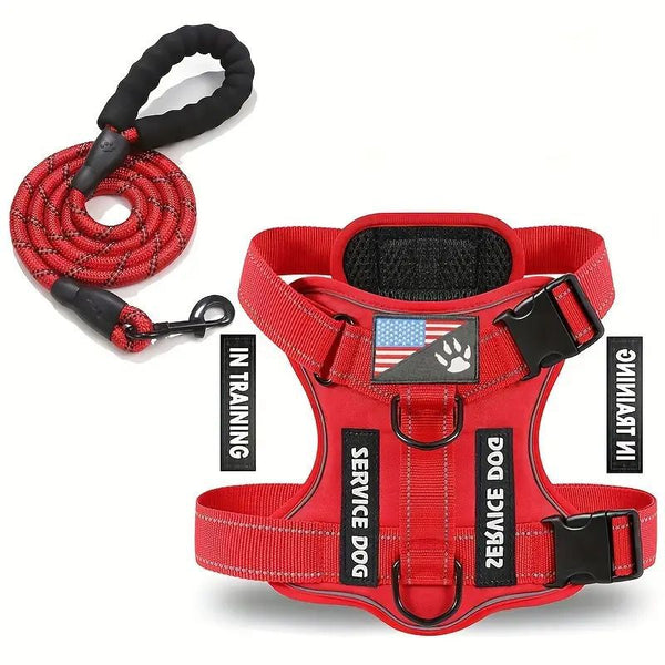 HKM-2132541 Durable Nylon Dog Leash with Chest Strap in Multiple Colors