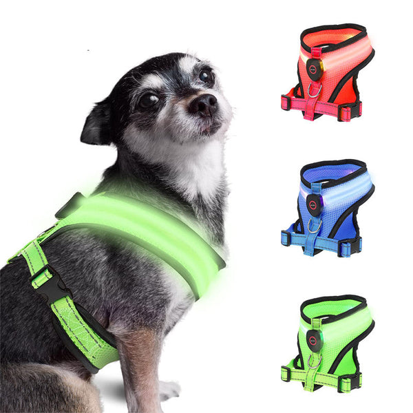HKM-2139965 Rechargeable LED Lighted Dog Harness with USB Charging and Adjustable Mesh Fabric