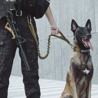 HKM-2140477 Heavy-Duty Leash for Large Dogs, Adjustable Collar, 85cm Tactical Rope, Suitable for German Shepherds and Retrievers