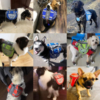 HKM-2148669 Pet Carrier Backpack in Soft Nylon - Plaid Design, Available in Green, Orange, Blue, Sizes S, M, L