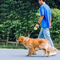 HKM-2151997 Retractable Dog Leash with Reflective Rope - Automatic Traction Belt for Comfortable Walks