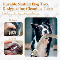 HKM-2153661 Plush Squeaky Crinkle Dog Toys for Puppies and Medium Dogs - Chew and Teething Playtime Activity