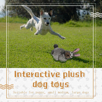 HKM-2153661 Plush Squeaky Crinkle Dog Toys for Puppies and Medium Dogs - Chew and Teething Playtime Activity