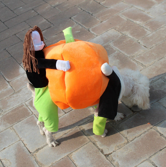 HKM-2156349 Halloween Pumpkin Pet Costume for Dogs - Soft Velvet Material, Multiple Sizes Available