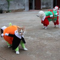 HKM-2156349 Halloween Pumpkin Pet Costume for Dogs - Soft Velvet Material, Multiple Sizes Available