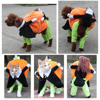 HKM-2156349 Halloween Pumpkin Pet Costume for Dogs - Soft Velvet Material, Multiple Sizes Available