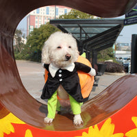 HKM-2156349 Halloween Pumpkin Pet Costume for Dogs - Soft Velvet Material, Multiple Sizes Available