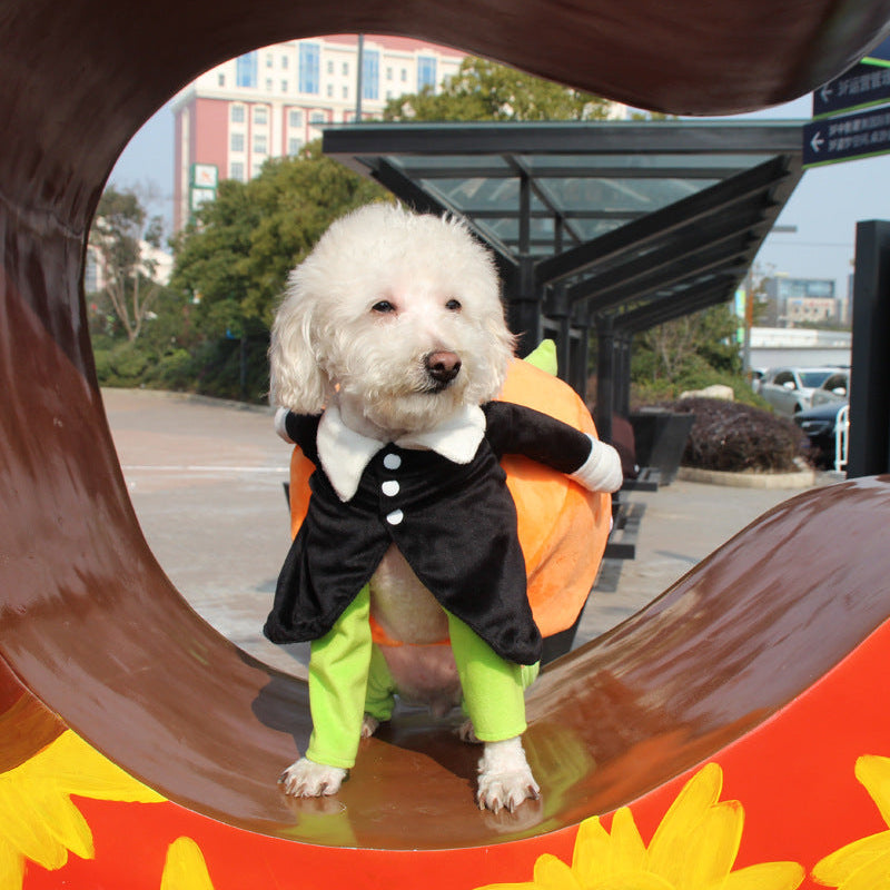 HKM-2156349 Halloween Pumpkin Pet Costume for Dogs - Soft Velvet Material, Multiple Sizes Available