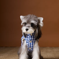 HKM-2156733 Blue Plaid Down Vest for Dogs - Autumn and Winter Casual Wear, Various Sizes Available