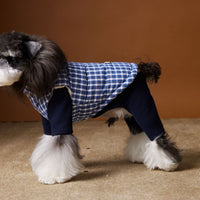 HKM-2156733 Blue Plaid Down Vest for Dogs - Autumn and Winter Casual Wear, Various Sizes Available
