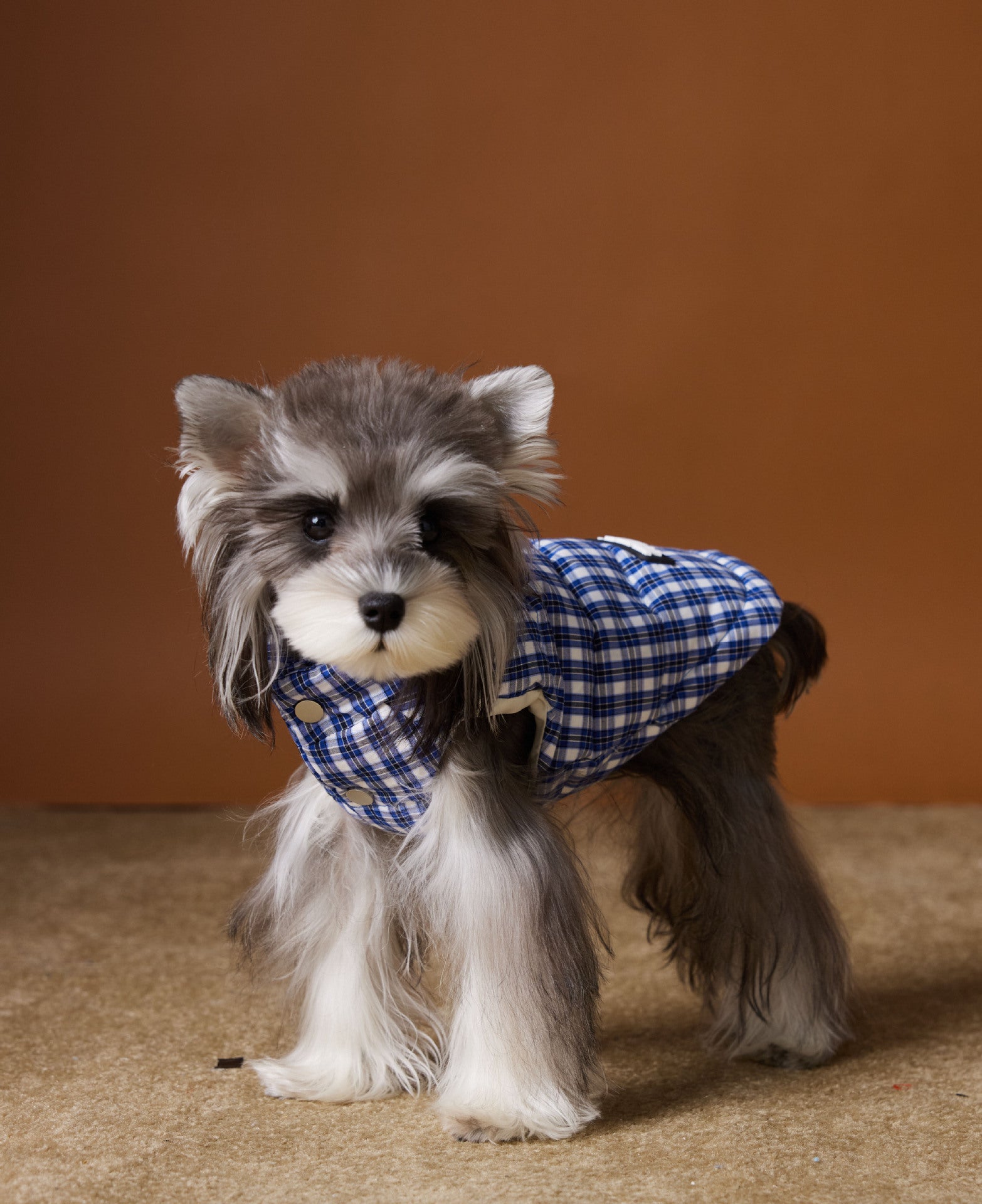HKM-2156733 Blue Plaid Down Vest for Dogs - Autumn and Winter Casual Wear, Various Sizes Available