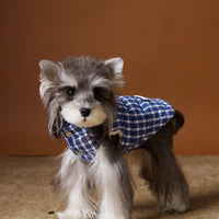HKM-2156733 Blue Plaid Down Vest for Dogs - Autumn and Winter Casual Wear, Various Sizes Available