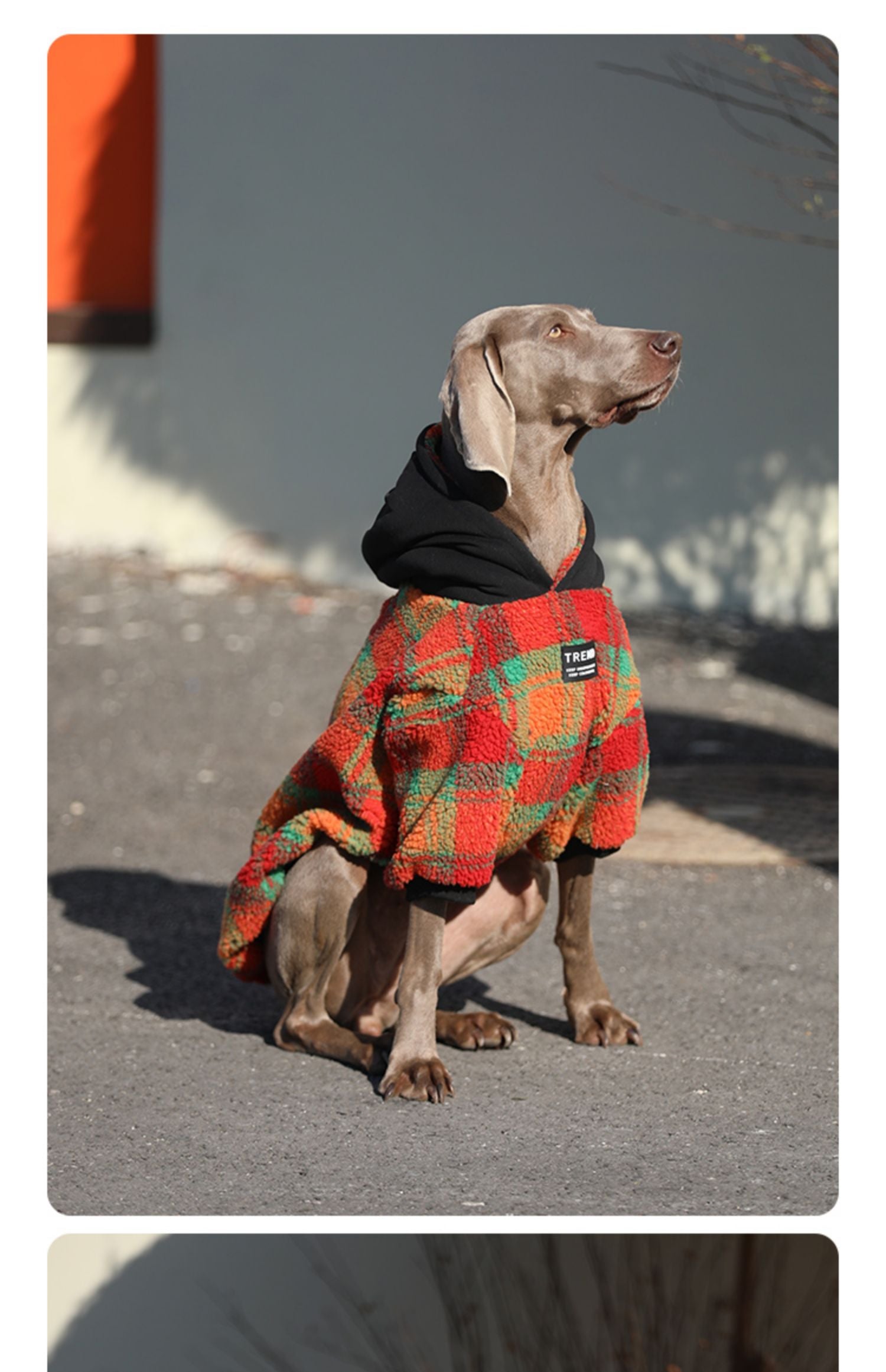HKM-2157757 Thick and Warm Casual Clothing for Large Dogs in Orange Grid and Green Stripe